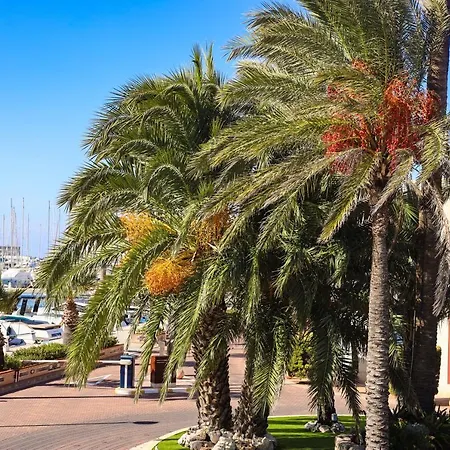 Denia Centro Appartement Buitenkant foto